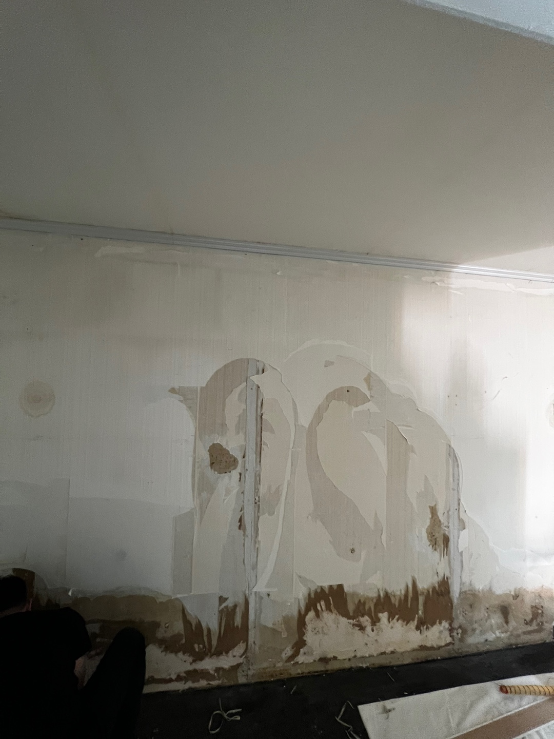 1948697120_PtaN7Y0L_a3e6296e44c42519e2f0f0a7163deb63ac99fded.jpg 이미지크게보기