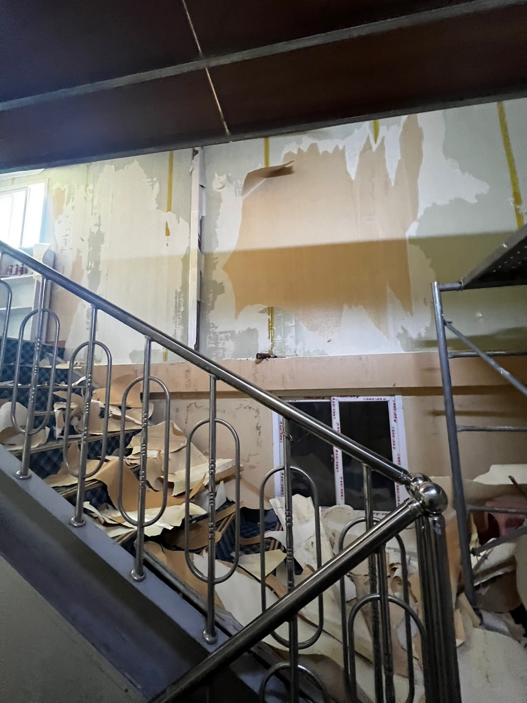 1948697120_QXfGguCR_d138a3593f5c3abaa121e4cdc619622a7575ceab.jpg 이미지크게보기