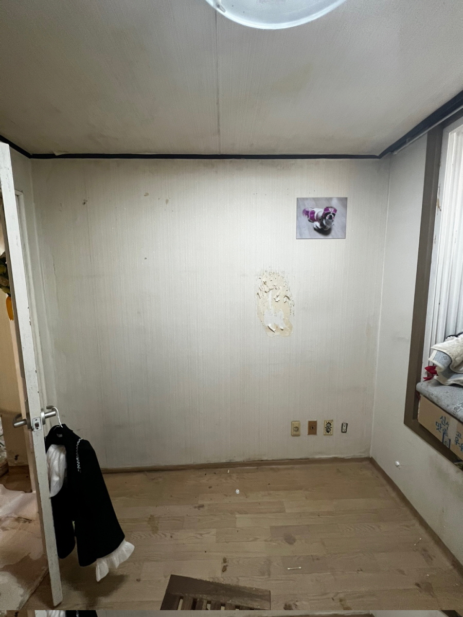 1948697120_bRegqUyv_cbff1427563ff30f40da37c144871e20b276abcc.jpg 이미지크게보기