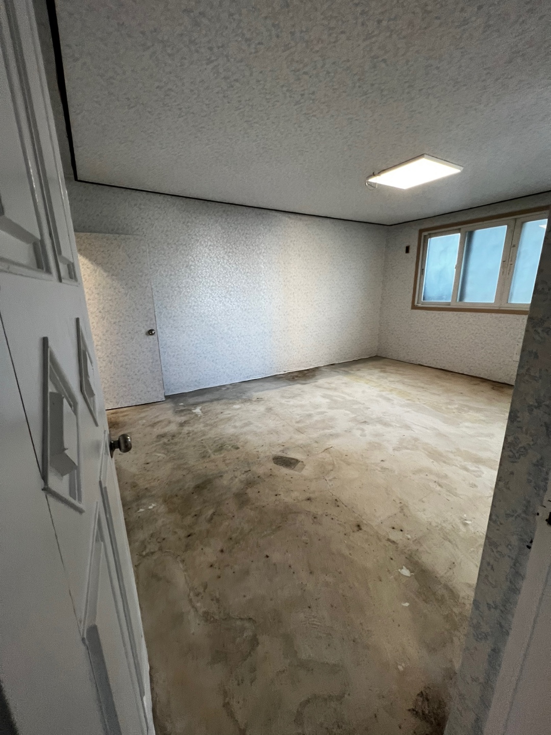 1948697120_cvmYE5Zl_b159587f70f1d5fe2c11742aacb7d7f3c19e214a.jpg 이미지크게보기