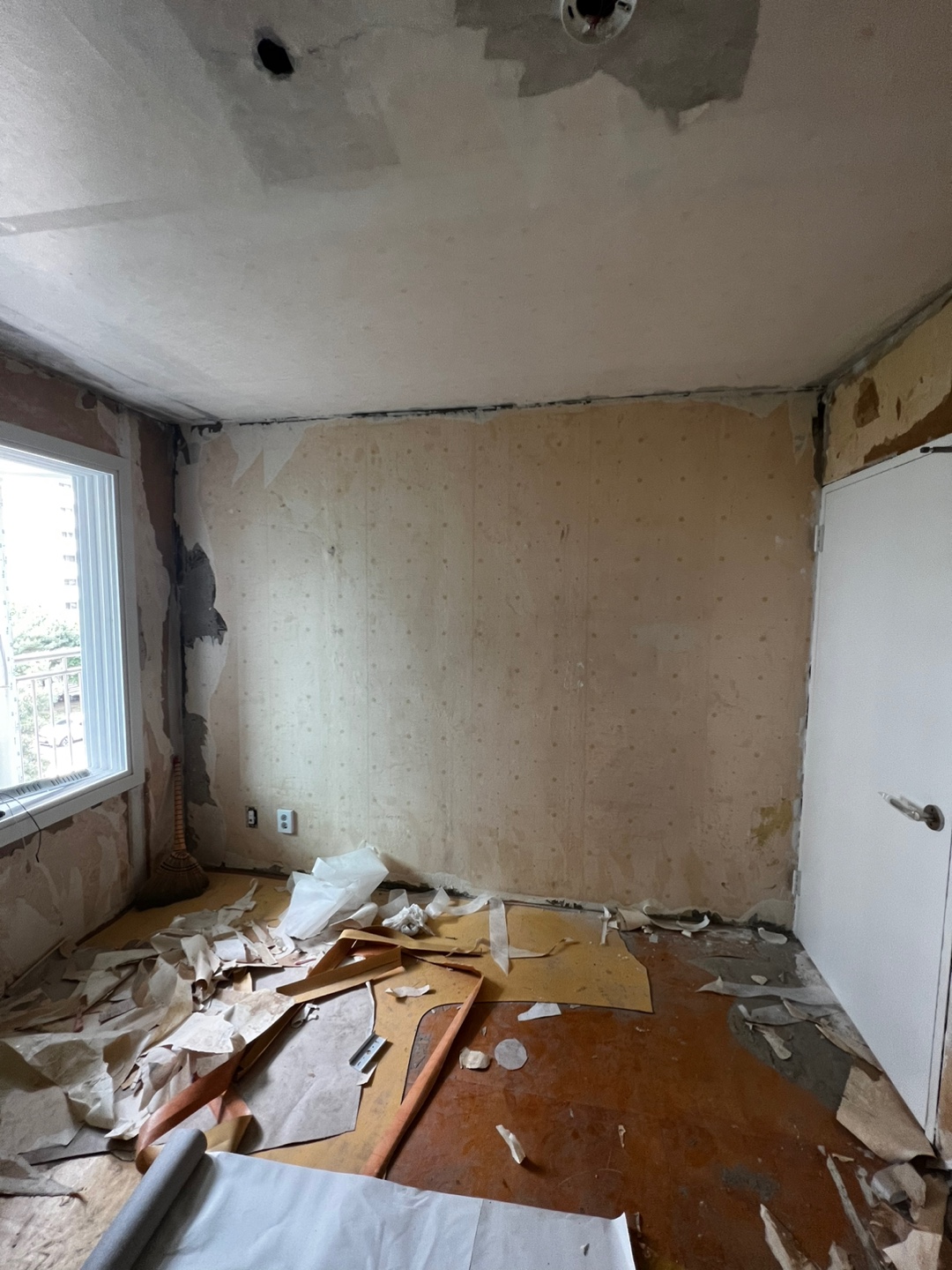 1948697120_ejYihZQu_4077212a2a47cdf6f6d779249d4127cc3764a6af.jpg 이미지크게보기