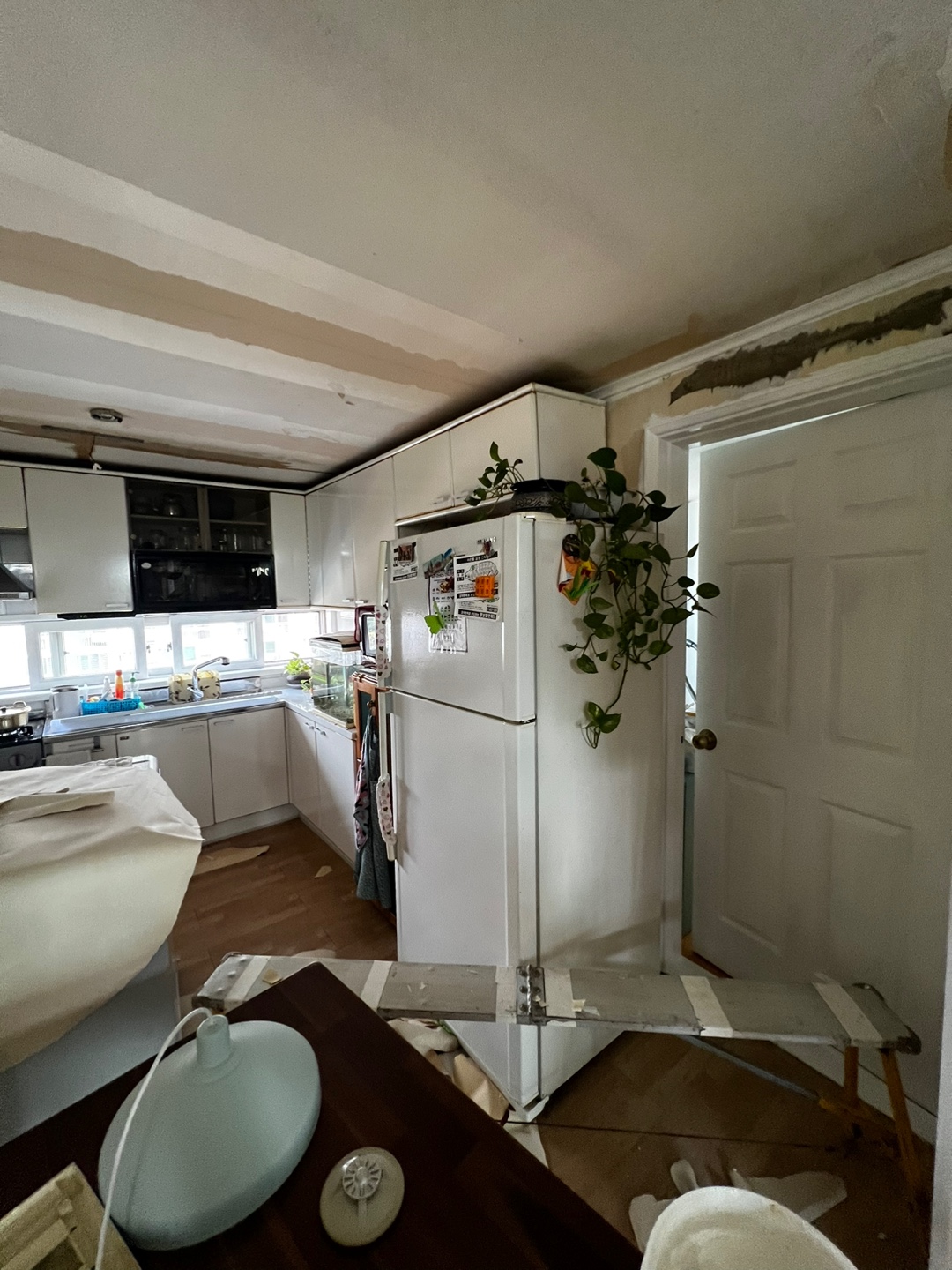 1948697120_fTdjrklw_be8c4364004d172cec2eea5fb00eccbc8aa66cbe.jpg 이미지크게보기