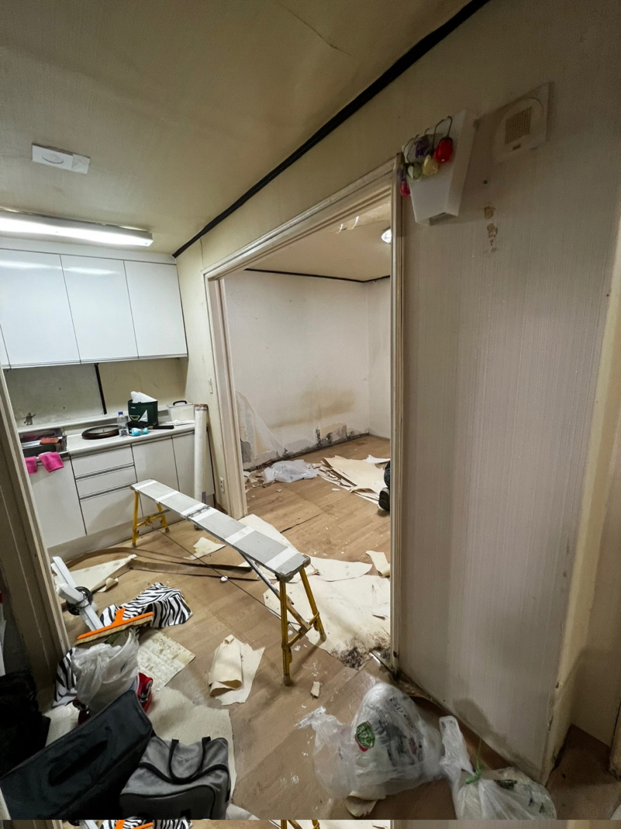 1948697120_n7RDV1fz_bf4266d750a2153a3df4f762024c0bb7711ccd1f.jpg 이미지크게보기