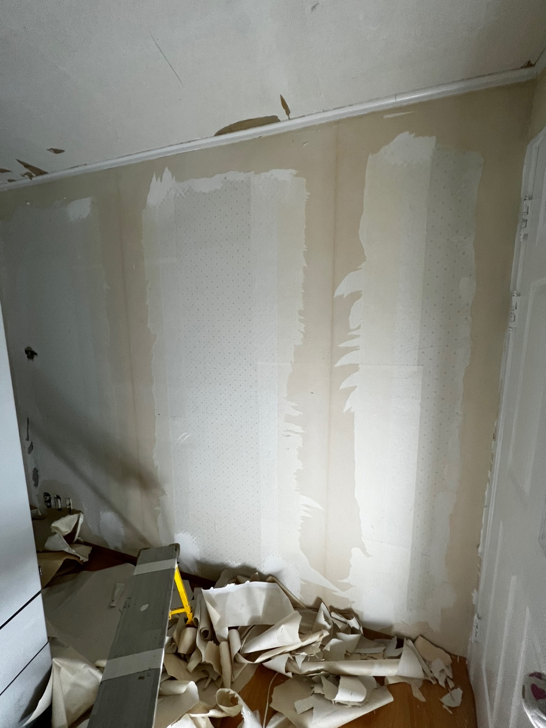 1948697120_uapLQ9Go_428183b1650c1286cdde2ac07753019aa05998f9.jpg 이미지크게보기