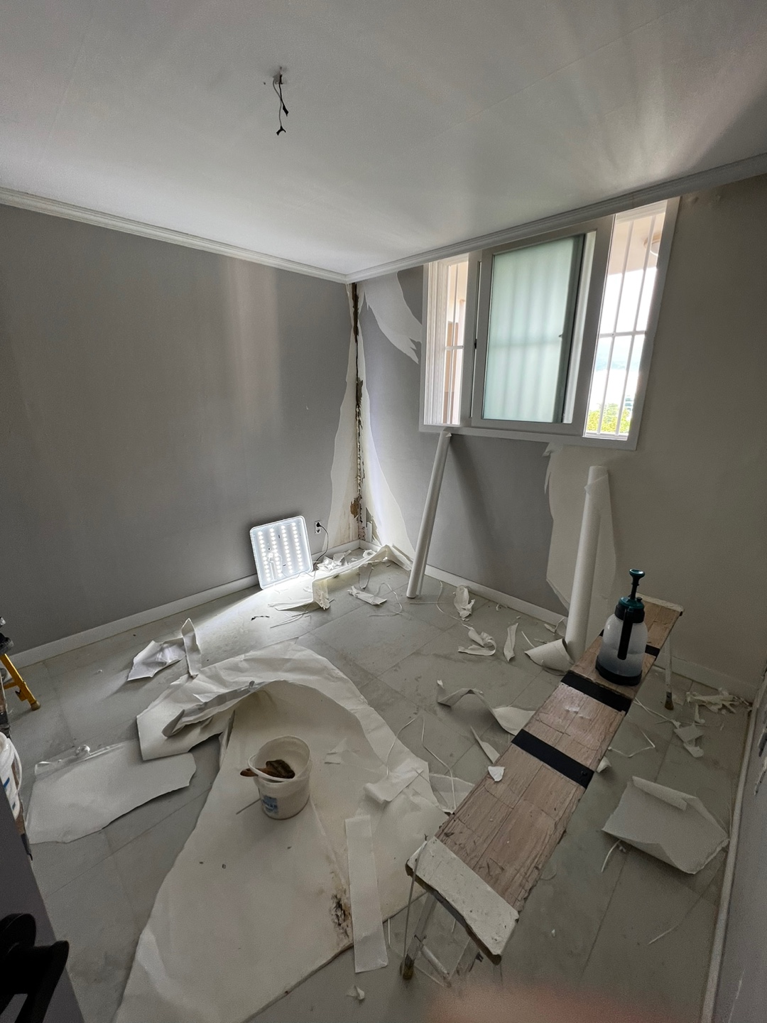 1948697120_x8wMfu03_9702f1275761cee41c0e6091d05a8740a0a59107.jpg 이미지크게보기