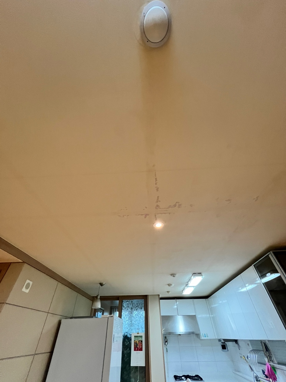 2000769928_o31jKLx0_5a253324bf19d861242692833b242869c77d0bf2.jpg 이미지크게보기