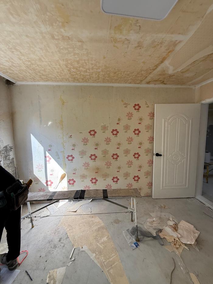 235149625_5CQOsmbh_bd8a8b71ee7e6694d369071cbc27478c614457b9.jpg 이미지크게보기