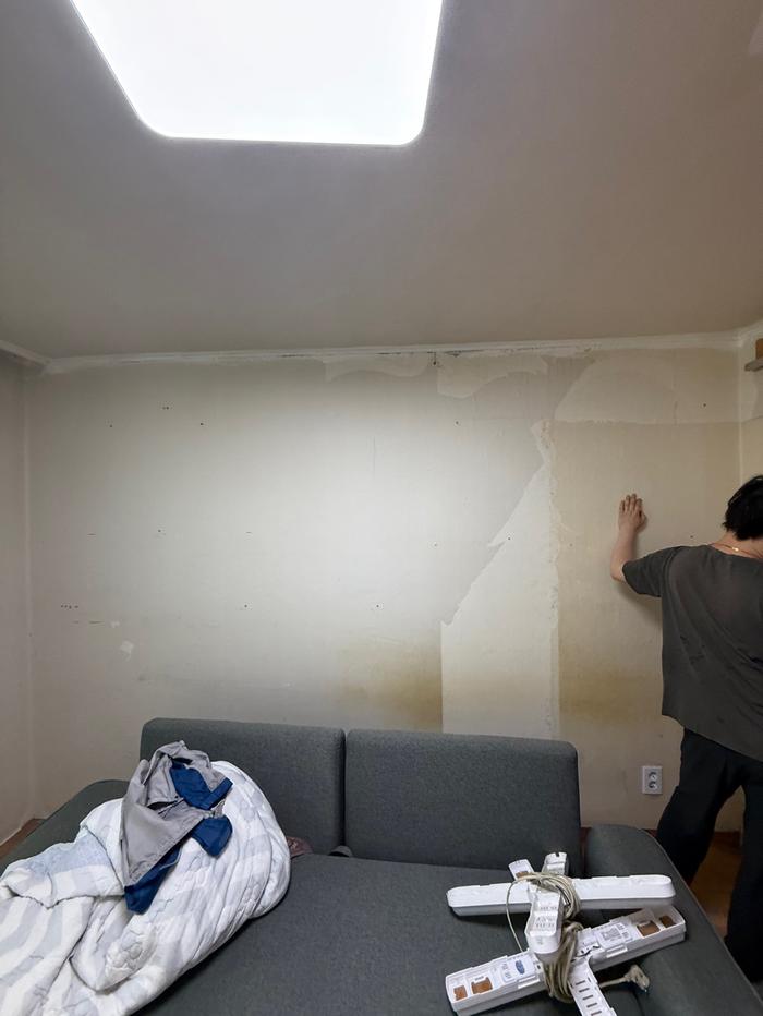 235149625_8mkSTZqO_d62c8e348cda8932d6c144e2c73d28a48556c08e.jpg 이미지크게보기