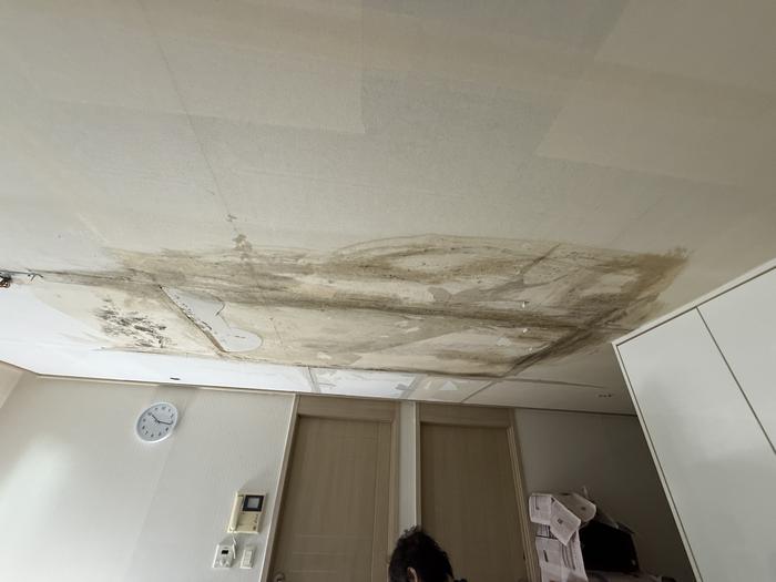 235149625_AE4rM1fn_22aaf991a95e22e2b0fd705f6e9e17f444d69969.jpg 이미지크게보기