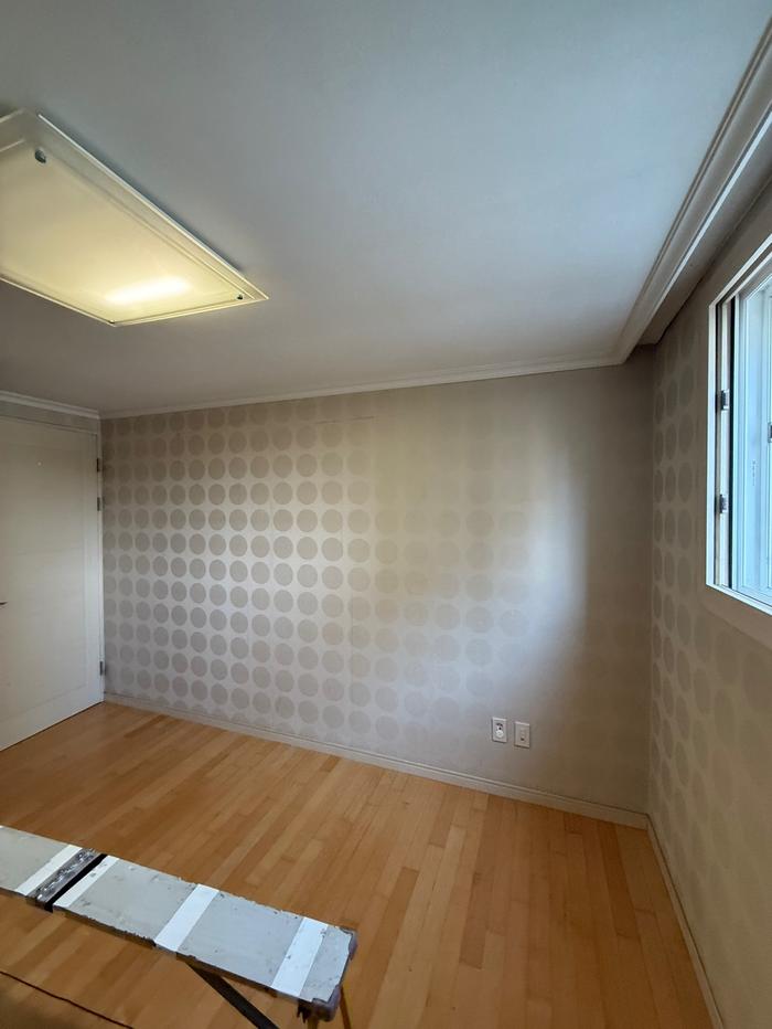 235149625_LyOrZIQz_a01dae06dda9062f35e833cca904e41974501c9b.jpg 이미지크게보기