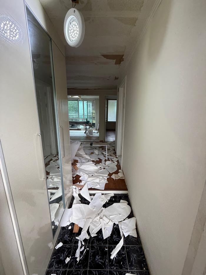 235149625_PWpIOZKw_690a1a664df82d6867a5e1c48e26b67882e3292d.jpg 이미지크게보기