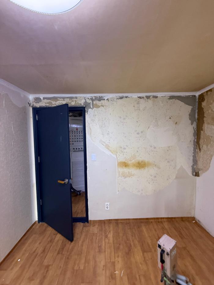 235149625_WrZmhNqM_753e6a6b0b75b94fba87bcf30c55075b925669e2.jpg 이미지크게보기