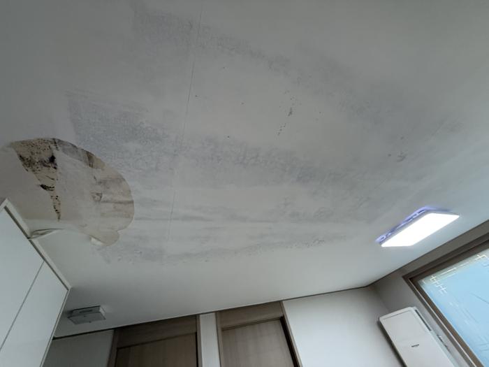 235149625_ZeEIhpxX_df9f80fbd627306ef60bbcf908ac2e225b77ae31.jpg 이미지크게보기