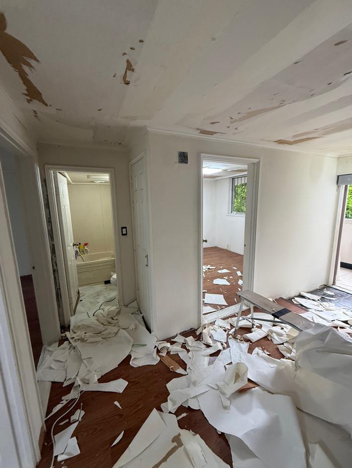 235149625_cG4nPAgl_ebce8bbb17ec05fed701601ab2e4736c94d76444.jpg 이미지크게보기