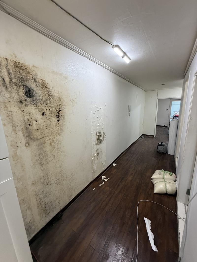 235149625_jc5B3JNu_39eb29651904a38eef5938338cf7e5cfe7fe9238.jpg 이미지크게보기