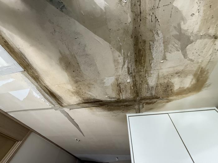 235149625_q96MvlGf_89bbe910b90ce596a31fb1aa55ecdf84d09125df.jpg 이미지크게보기