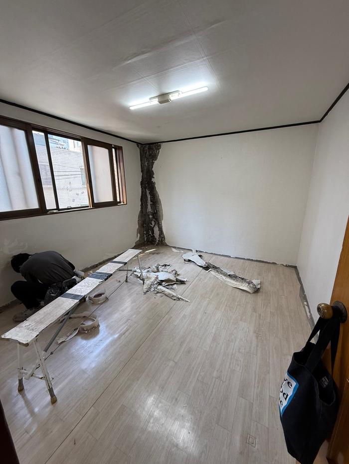 235149625_qwM0lmYJ_dca4a58c4cc15bafdb68eab61f1150e183c36550.jpg 이미지크게보기