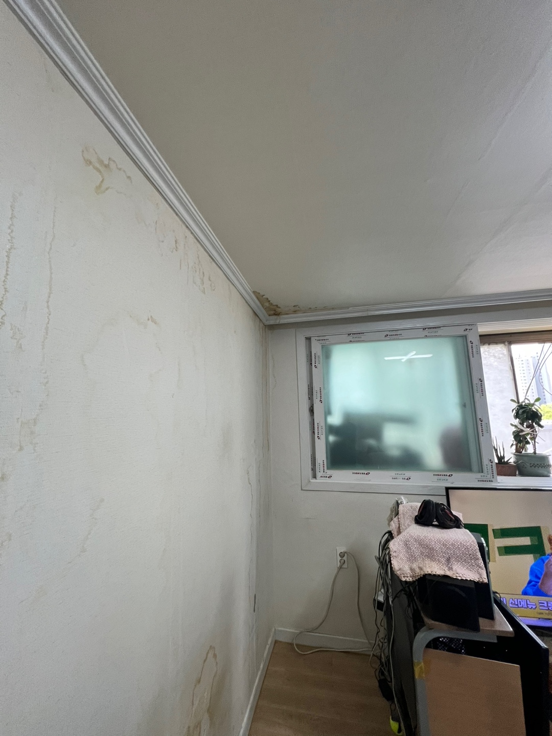 3695294320_57DbCvJY_3b6013b2148c16284bdbae58632cb455caf4817b.jpg 이미지크게보기