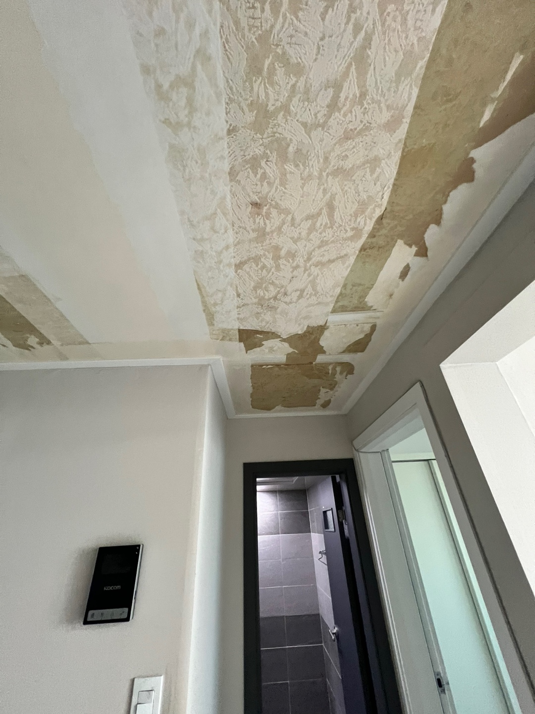 3695294320_6gv7LZjS_1a36cb54b06dcaa4b670378313d7feafa29fc37c.jpg 이미지크게보기