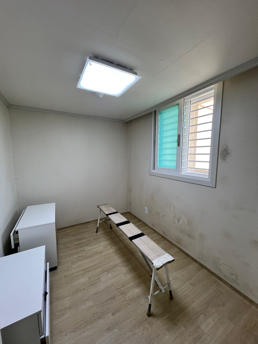 3695294320_8fjv9emH_419fa02f8b1f66fc258ef8654a6a6f28002764da.jpg 이미지크게보기