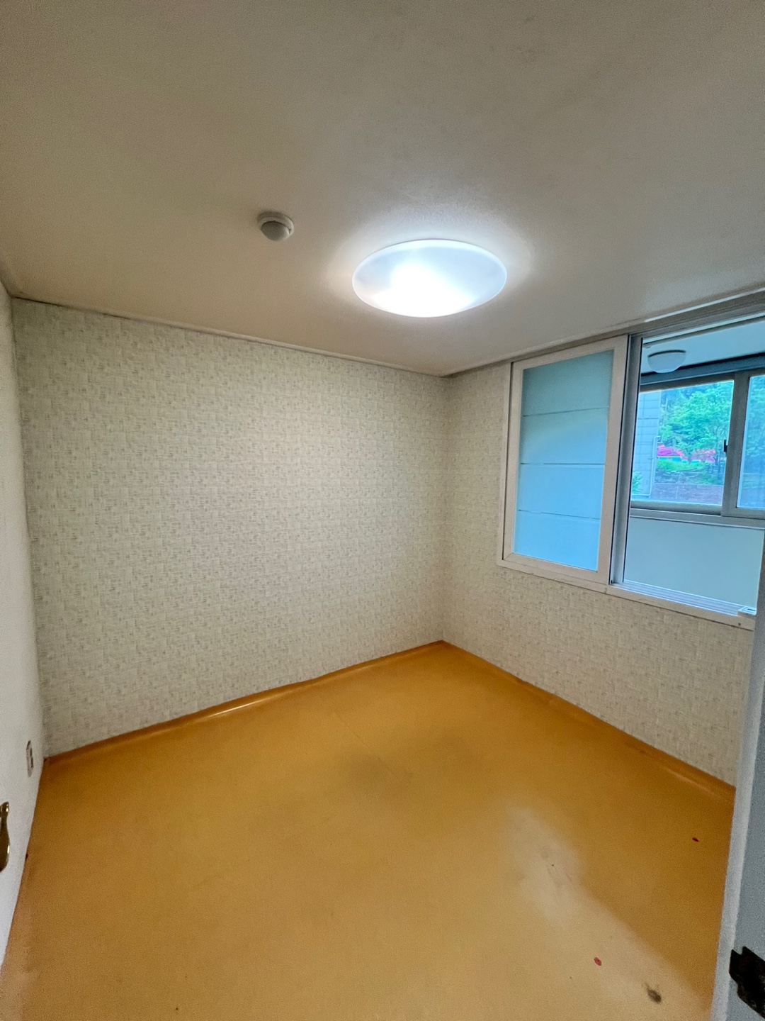 3695294320_984HVuIo_f22005cca6c6604bb7a5575e4e6727e6974c1421.jpg 이미지크게보기