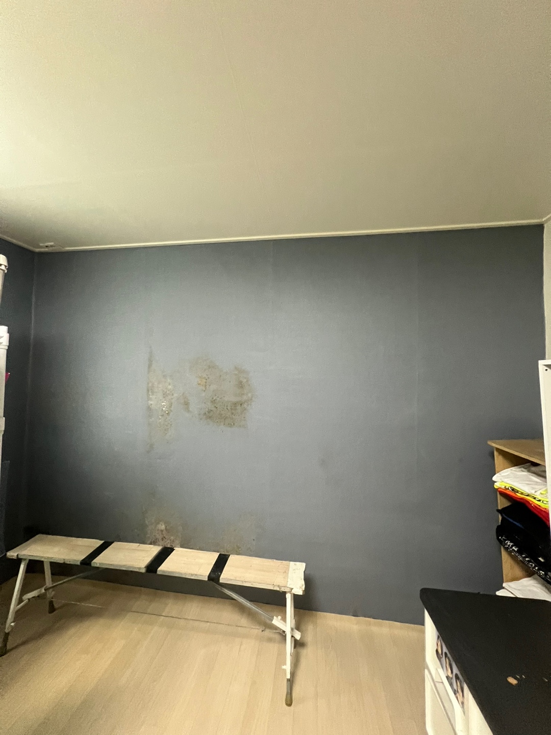 3695294320_C1VmxPUN_42c6b01cc5121fefae7ccd33a3f0640918c38a6a.jpg 이미지크게보기