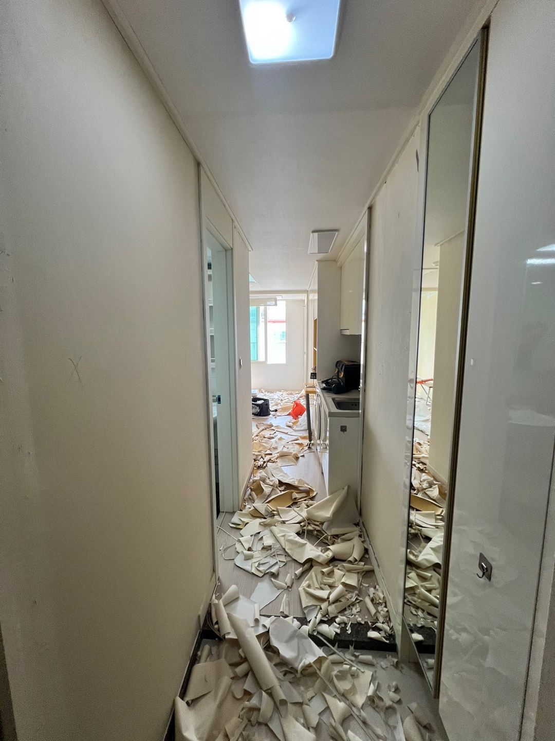 3695294320_KOeEA16g_876564cf0c329aa4c9522938542300f369d91d95.jpg 이미지크게보기