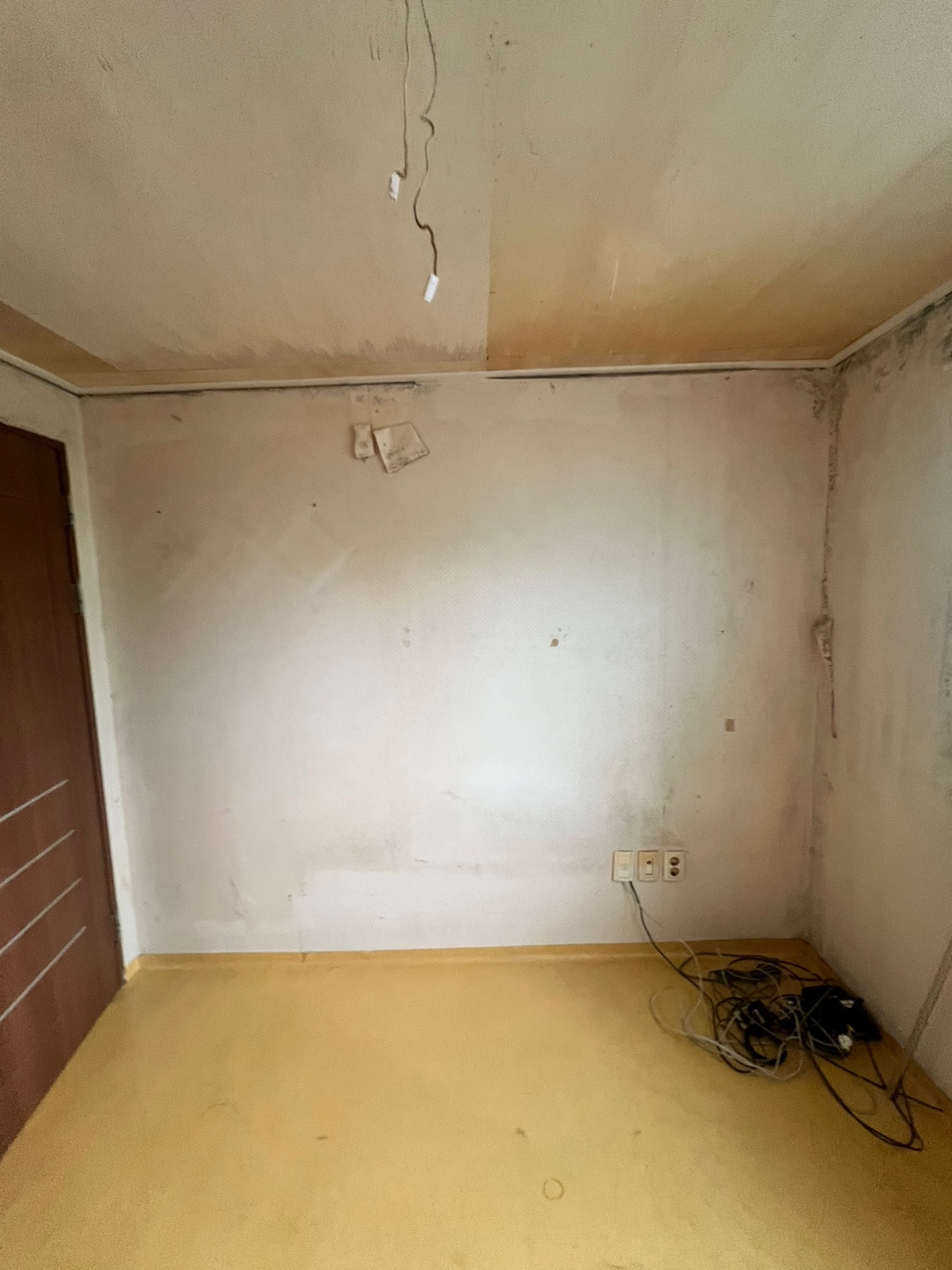 3695294320_R6QiLrvz_6ae46f40520c0003e2534e1b82c42548a0f3af74.jpg 이미지크게보기