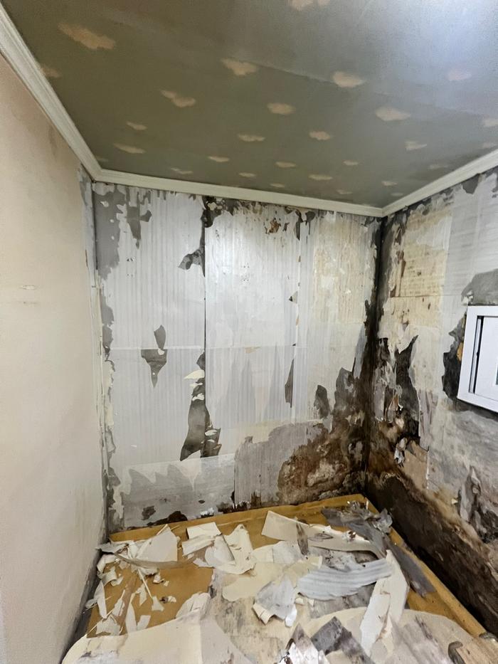 3695294320_hCd30Sp8_642c2c72d50392f1c7388490910eb924d88a5582.jpg 이미지크게보기