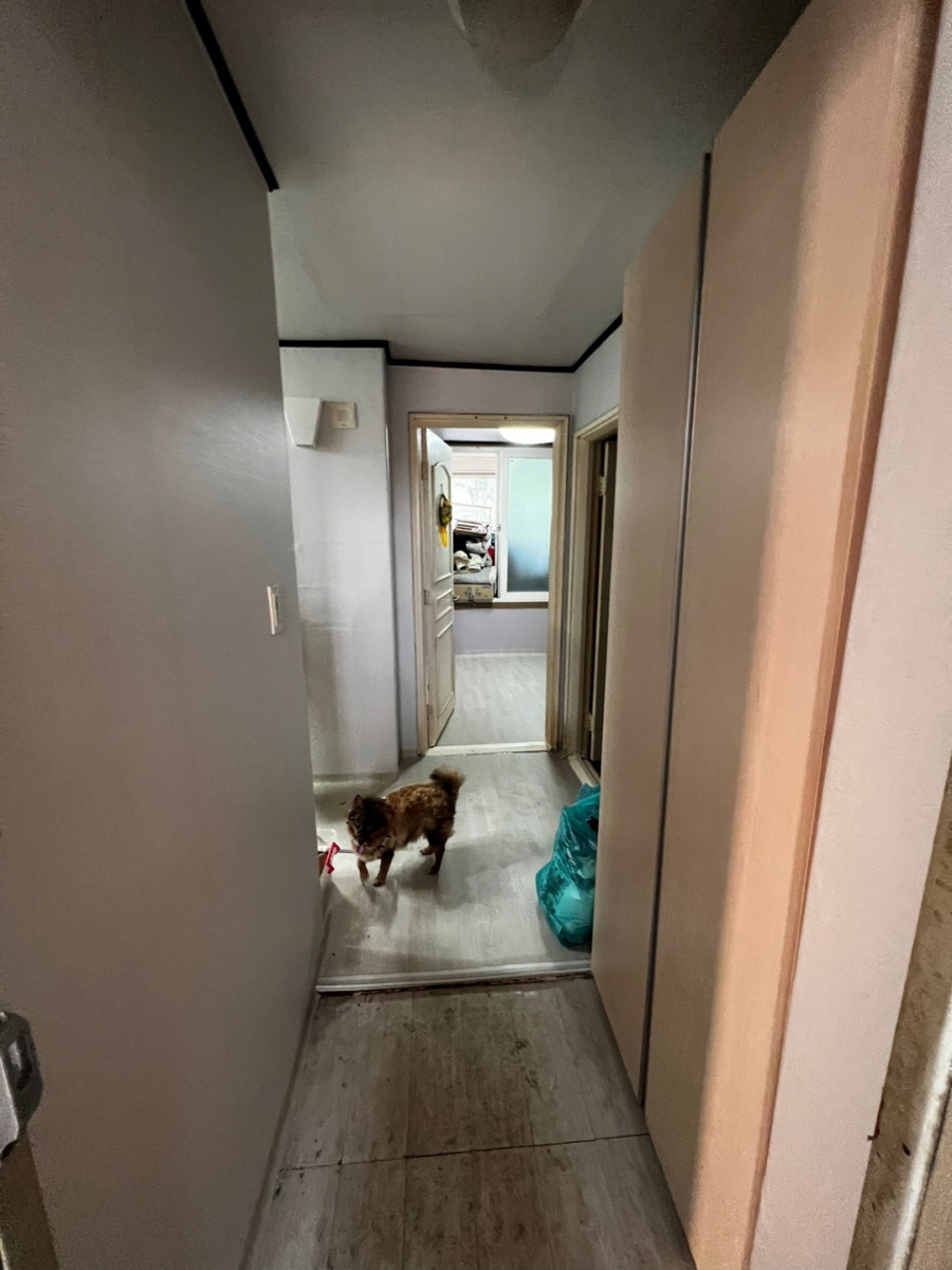 /user/b/brotherwallpaper/editor/2305/ab50acbd0e7d140ab65d26d08e612d0d_1684242628_2523.jpg 이미지크게보기