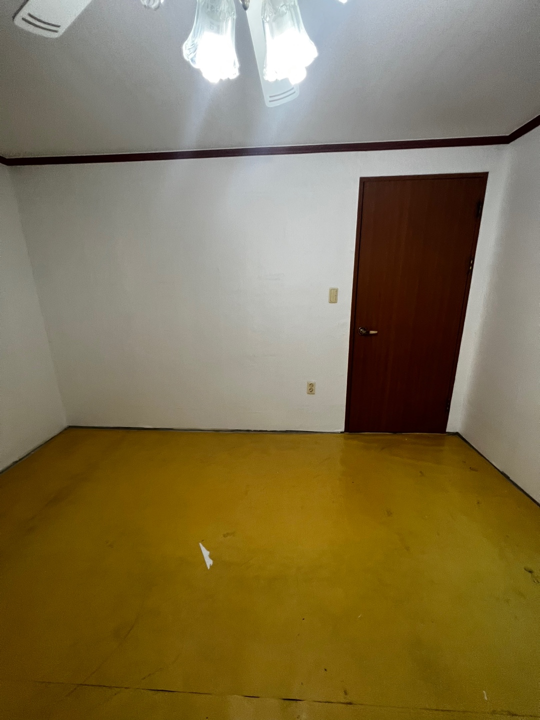 /user/b/brotherwallpaper/editor/2306/0199bd2f783f7bece14ff088115b3cf6_1688113097_7578.jpg 이미지크게보기