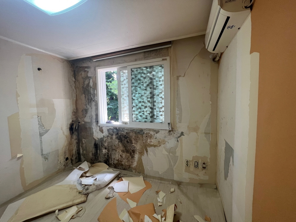 /user/b/brotherwallpaper/editor/2306/d8742faf78a66c85f763863095d4321d_1687134179_6665.jpg 이미지크게보기