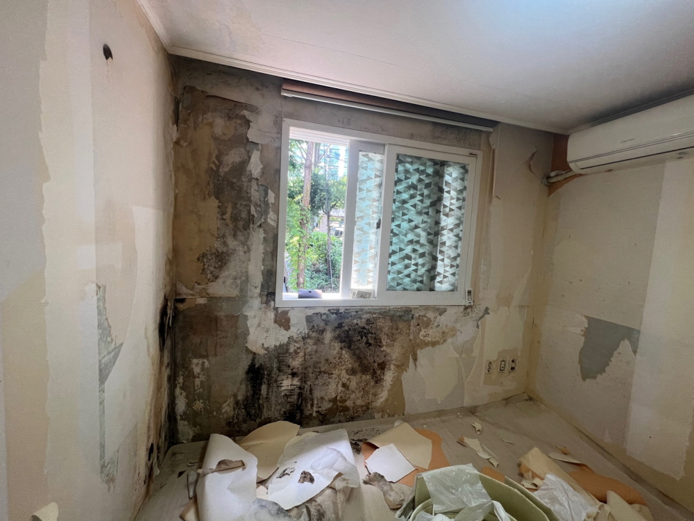 /user/b/brotherwallpaper/editor/2306/d8742faf78a66c85f763863095d4321d_1687134179_7258.jpg 이미지크게보기