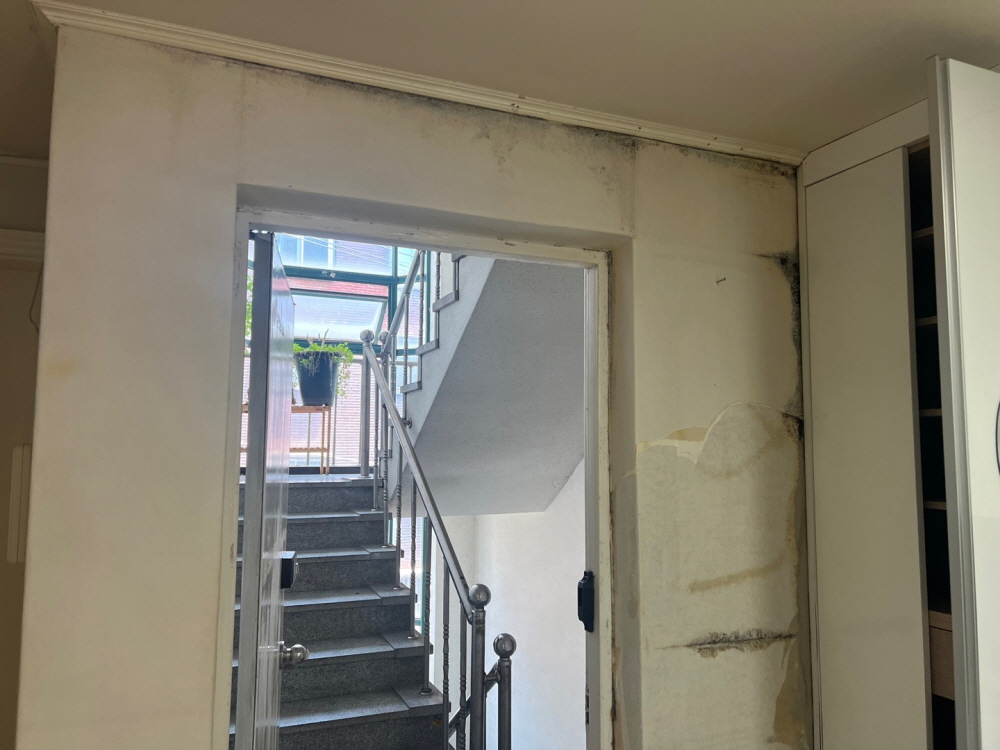 /user/b/brotherwallpaper/editor/2306/d8742faf78a66c85f763863095d4321d_1687134179_7862.jpg 이미지크게보기