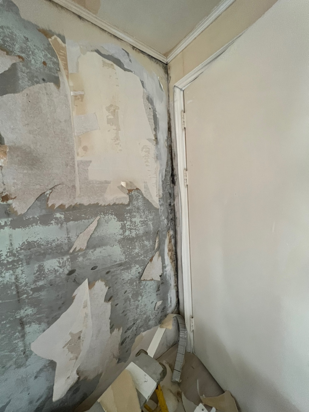 /user/b/brotherwallpaper/editor/2306/d8742faf78a66c85f763863095d4321d_1687134179_8445.jpg 이미지크게보기