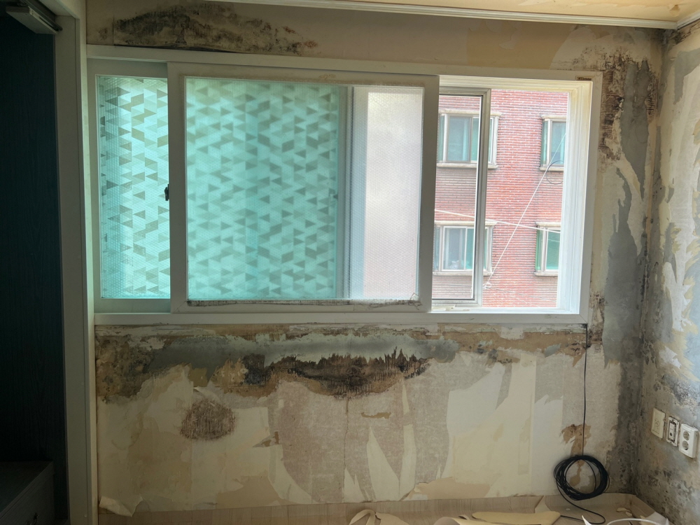 /user/b/brotherwallpaper/editor/2306/d8742faf78a66c85f763863095d4321d_1687134179_904.jpg 이미지크게보기