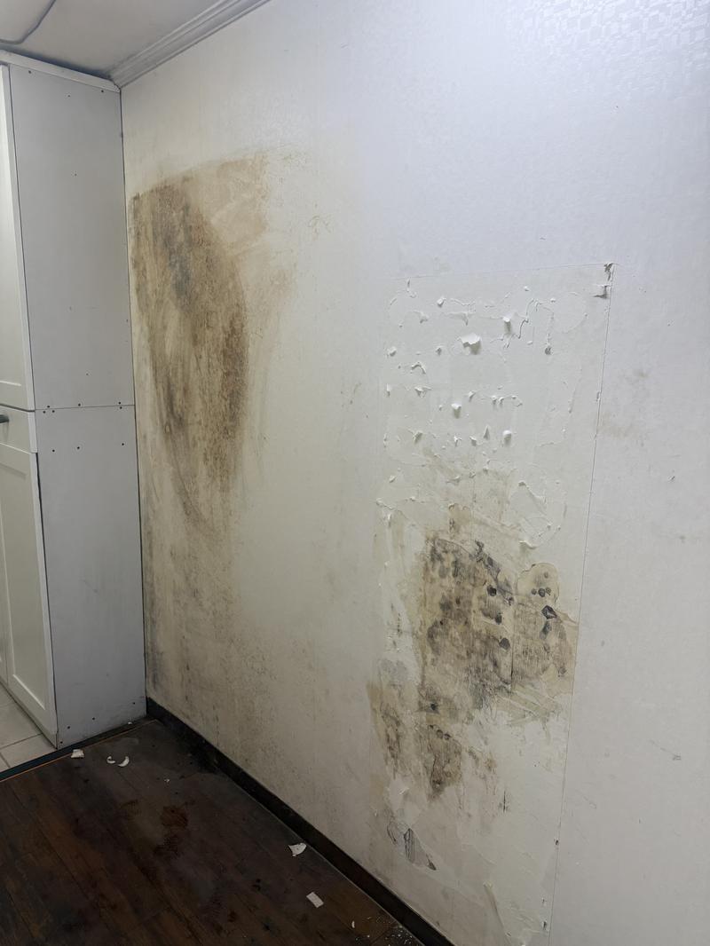 /user/b/brotherwallpaper/editor/2512/7d8011ae7323eff5606c6d04e772a4d1_1765806744_2692.jpg 이미지크게보기